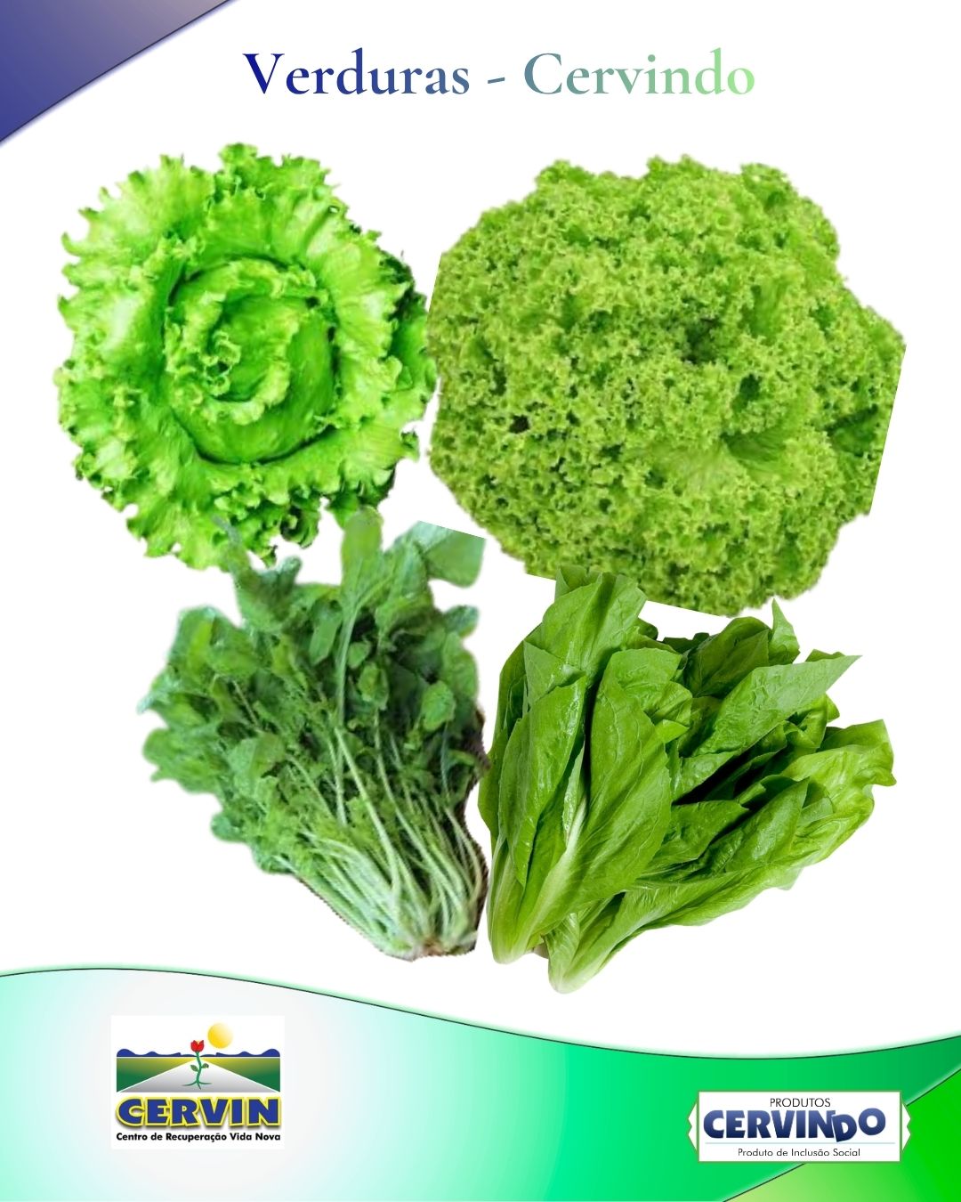 VERDURAS